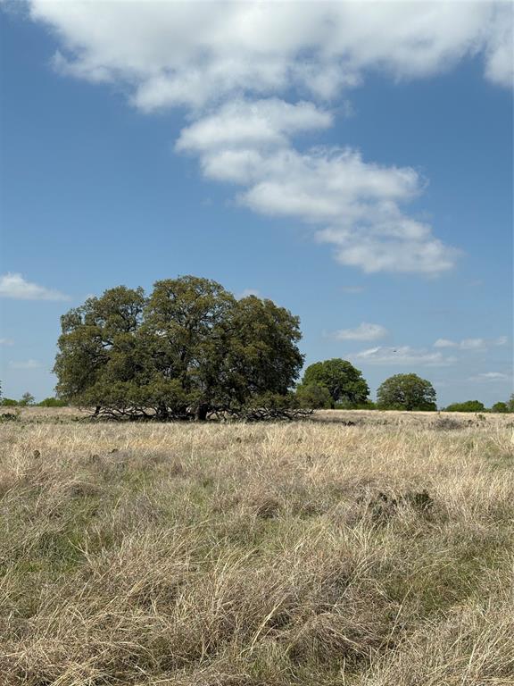 no - Farm
