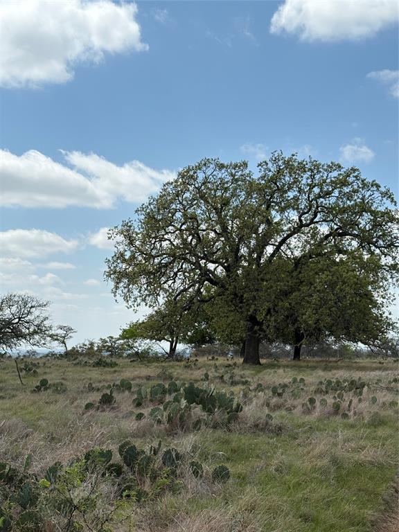 no - Farm