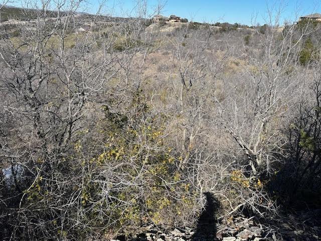 1620 Canyon Wren Loop