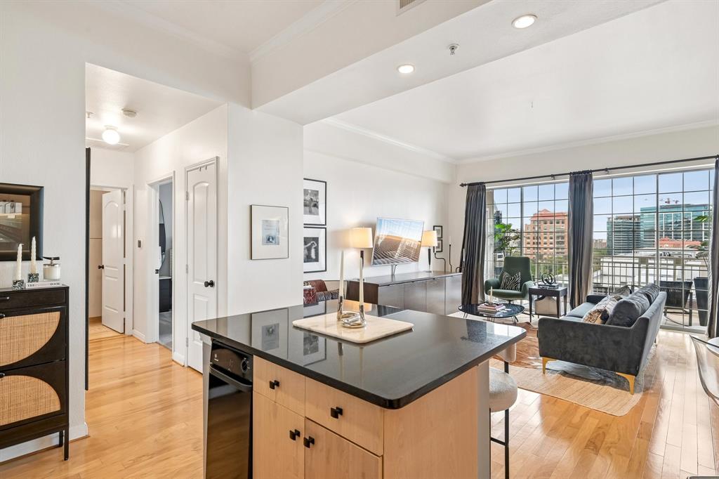 3225 Turtle Creek Boulevard 914