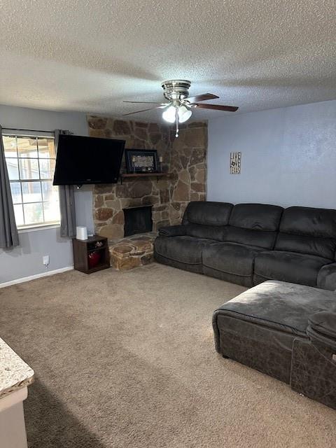 4501 Norris Valley Drive