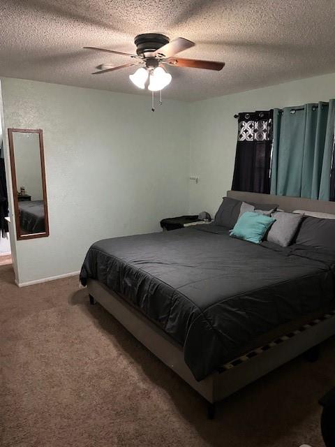 4501 Norris Valley Drive