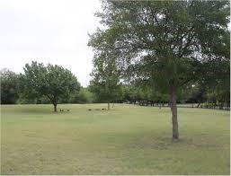 Timberleaf Lane Twnhms - Land