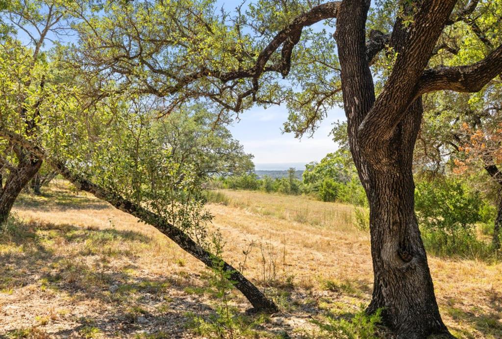 Sycamore Falls Estates - Farm