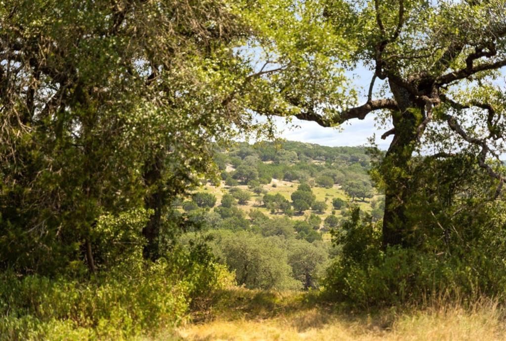 Sycamore Falls Estates - Farm