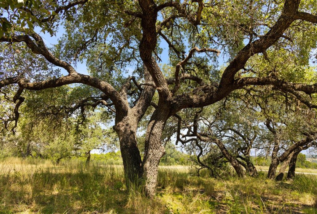 Sycamore Falls Estates - Farm