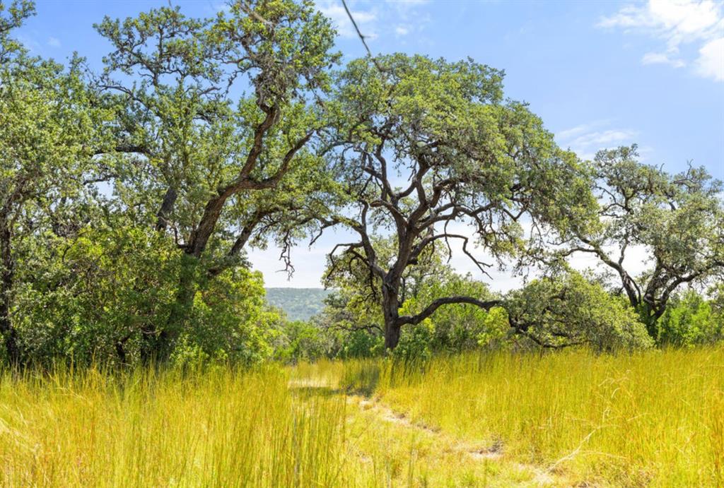 Sycamore Falls Estates - Farm