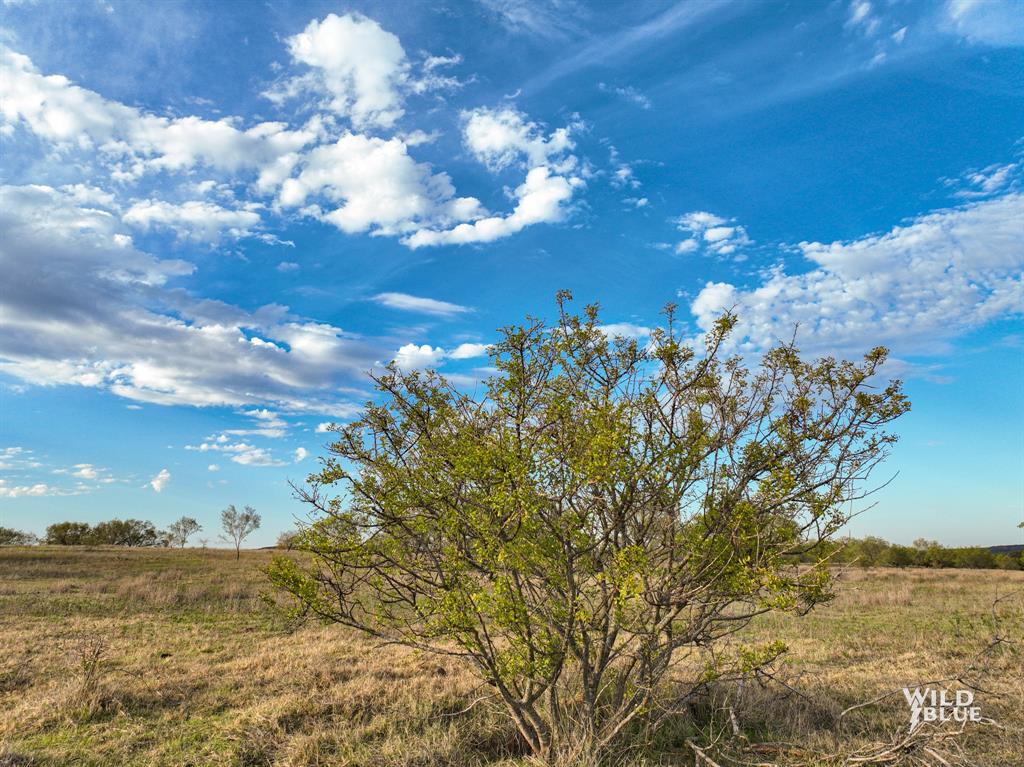 River Canyon Ranch - Land