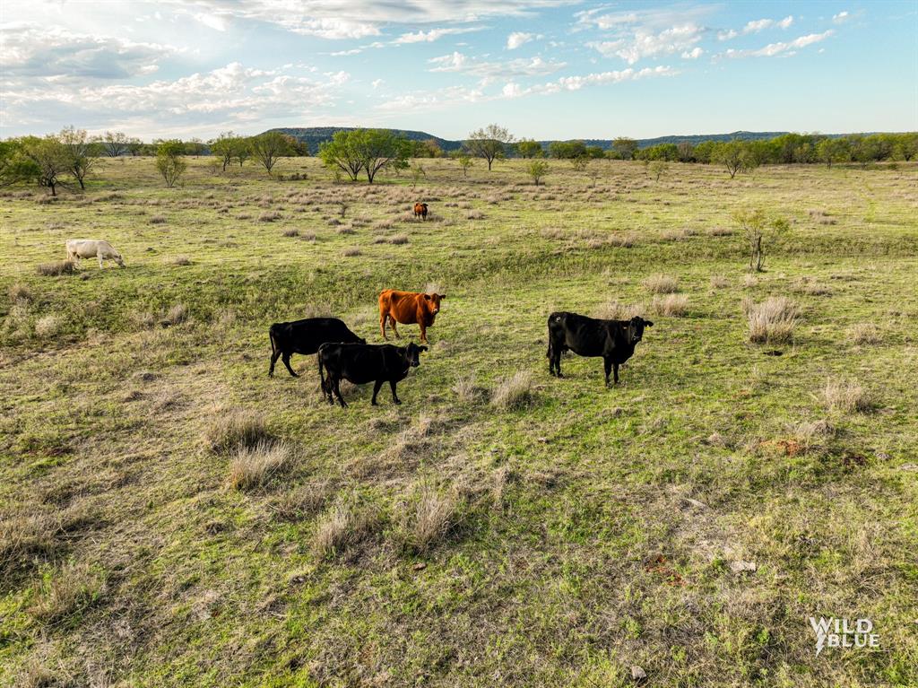 River Canyon Ranch - Land
