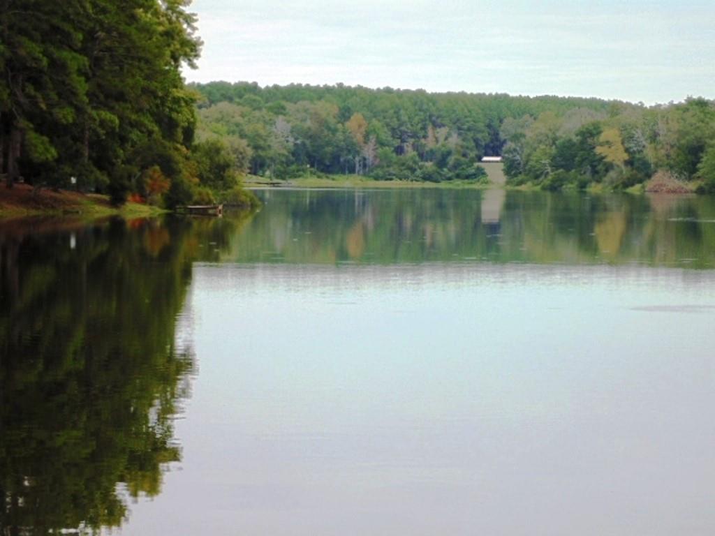 Safari Waters Ranch - Land