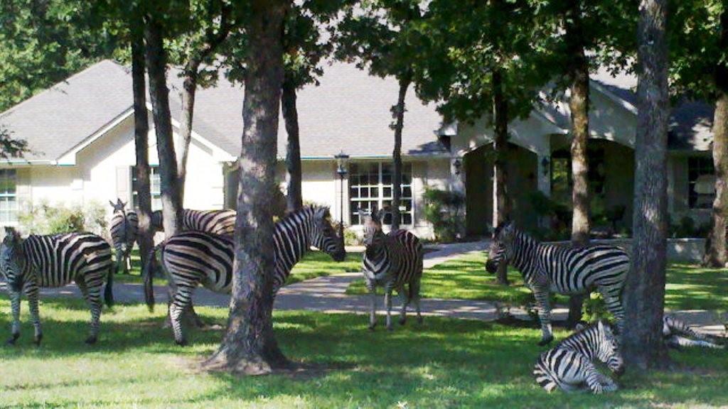 Safari Waters Ranch - Land