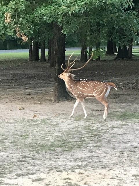 Safari Waters Ranch - Land