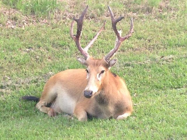 Safari Waters Ranch - Land