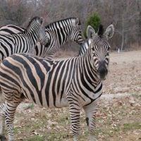 Safari Waters Ranch - Land