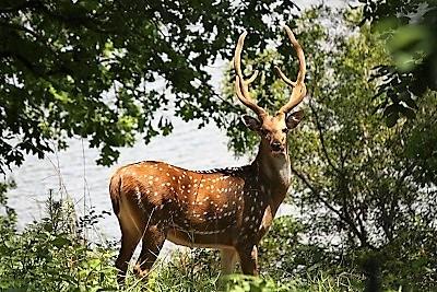 Safari Waters Ranch - Land