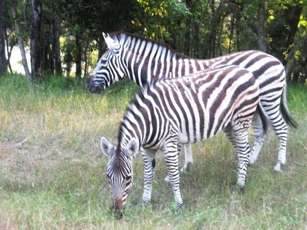 Safari Waters Ranch - Land