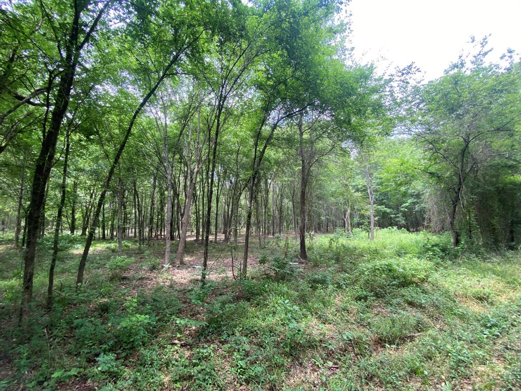 Lot 10 & 11 CR 3920