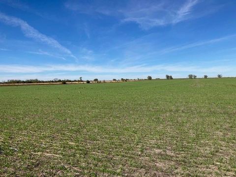 0000 Fm 198 Lake Creek TX 75450