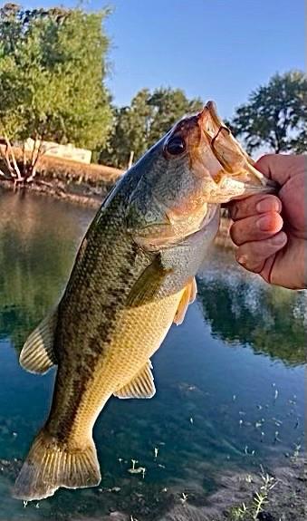 Iron Bridge Sub - Residential