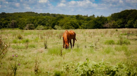 Photo of 000 FM 308, Milford, TX 76670 (MLS # 21394183)