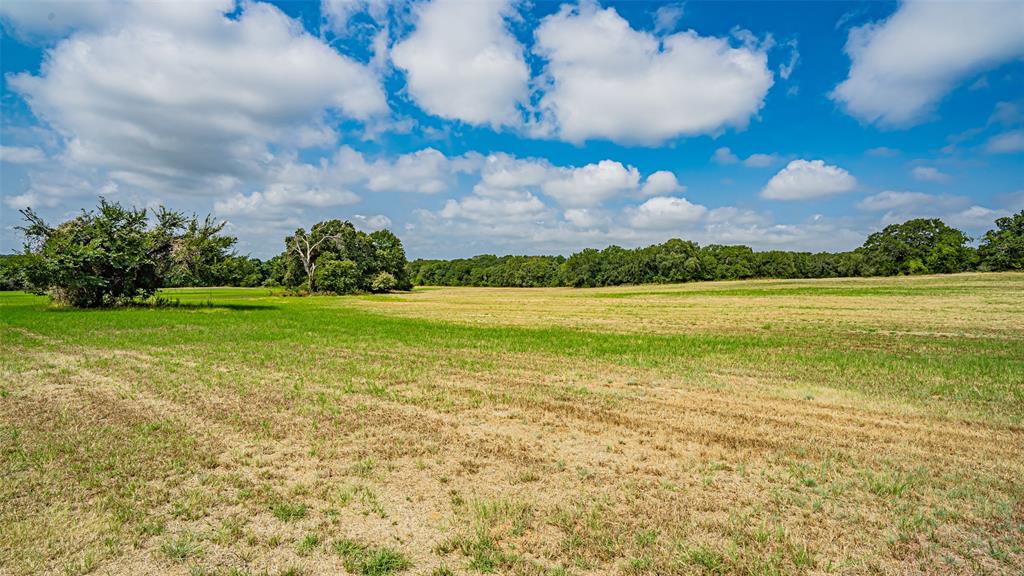 #16 TBD Briar Road