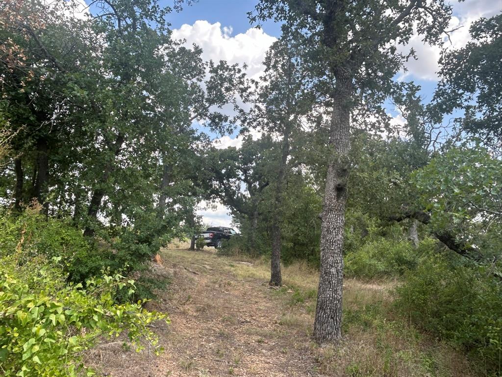 1414 Normandy Drive, Graham, TX, USA