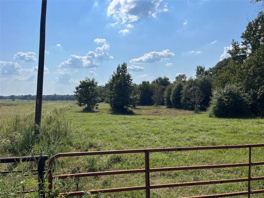 Approximately 24 Acres out of existing 36 Acre tract of Land in Canton, TX – $336,000
Martins Mill ISD, Live Creek, Wildlife, Ready for Your Vision
Discover the perfect blend of seclusion and convenience with this Approximately 24-acre tract of raw, vacant land located just a short drive from Canton, TX, within the highly sought-after Martins Mill School District.
This property offers a rare opportunity to own a piece of East Texas countryside featuring:
• A year-round live creek flowing through the land
• Abundant native wildlife—ideal for hunting, recreation, or peaceful country living
• Gently rolling terrain with plenty of space for a custom home site, farming, ranching, or investment development
• Quiet, rural setting just a short drive to town amenities and First Monday Trade Days
Whether you're looking to build your dream home, establish a homestead, or invest in quality acreage, this property delivers natural beauty, privacy, and potential.
Don’t miss this opportunity—acreage in Martins Mill ISD doesn’t come around often!
Contact us today to schedule a tour or get more information. 903 780-6698 stoney@h5auctionandrealty.com