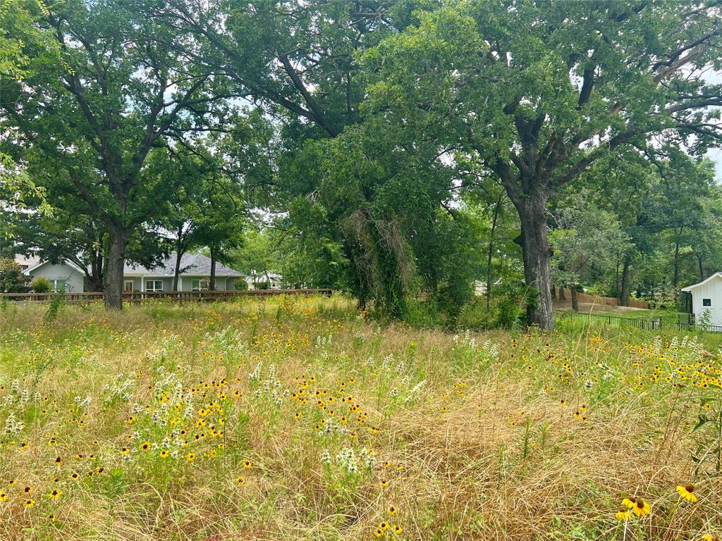 Cedar Creek Landing - Land