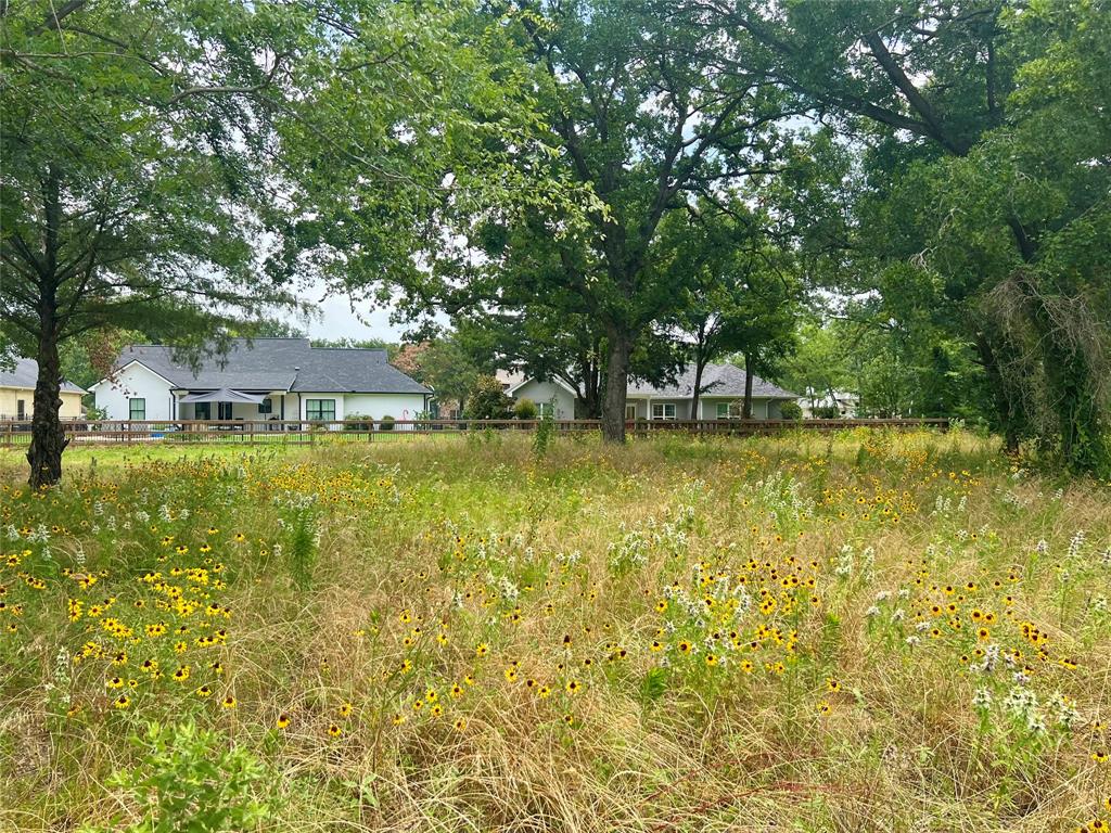 Cedar Creek Landing - Land