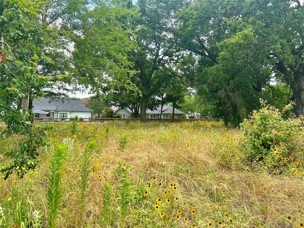 Cedar Creek Landing - Land