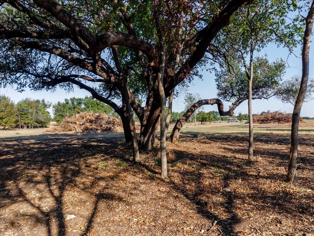 2768 Live Oak Road