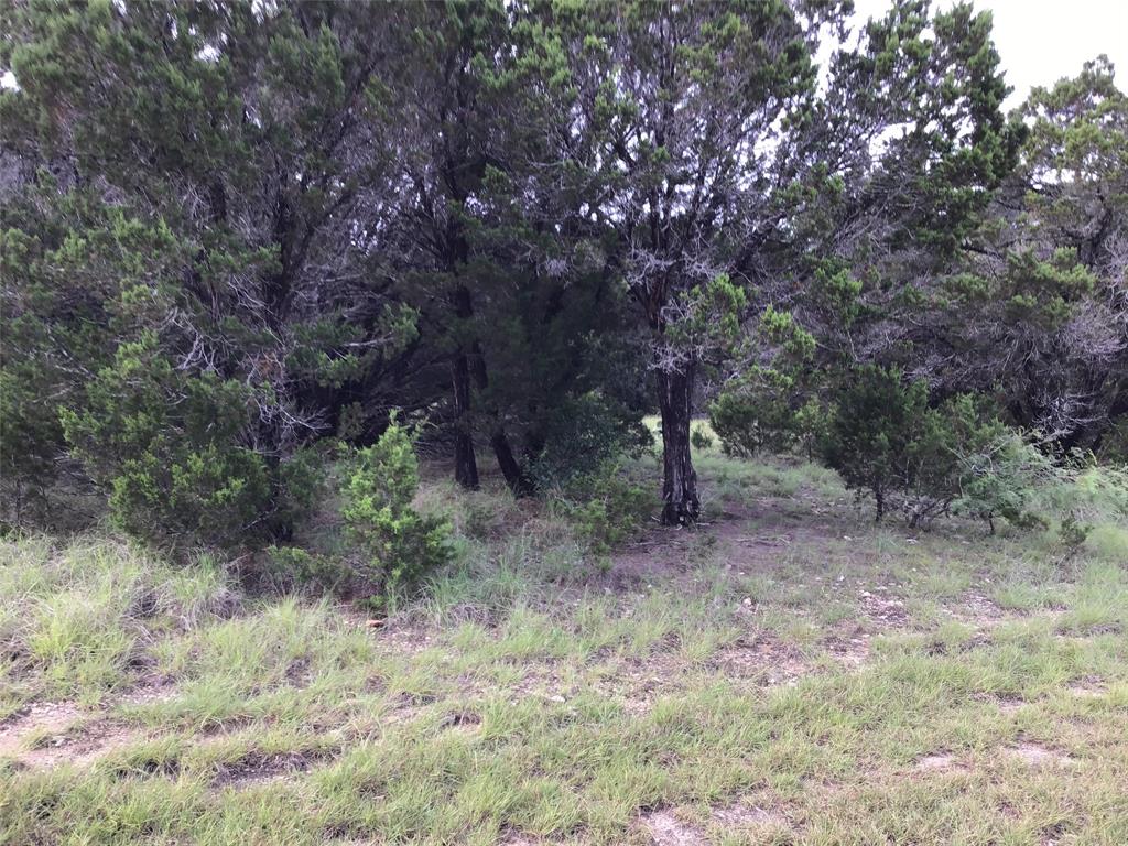 White Bluff #43 - Land