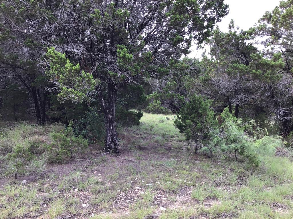 White Bluff #43 - Land