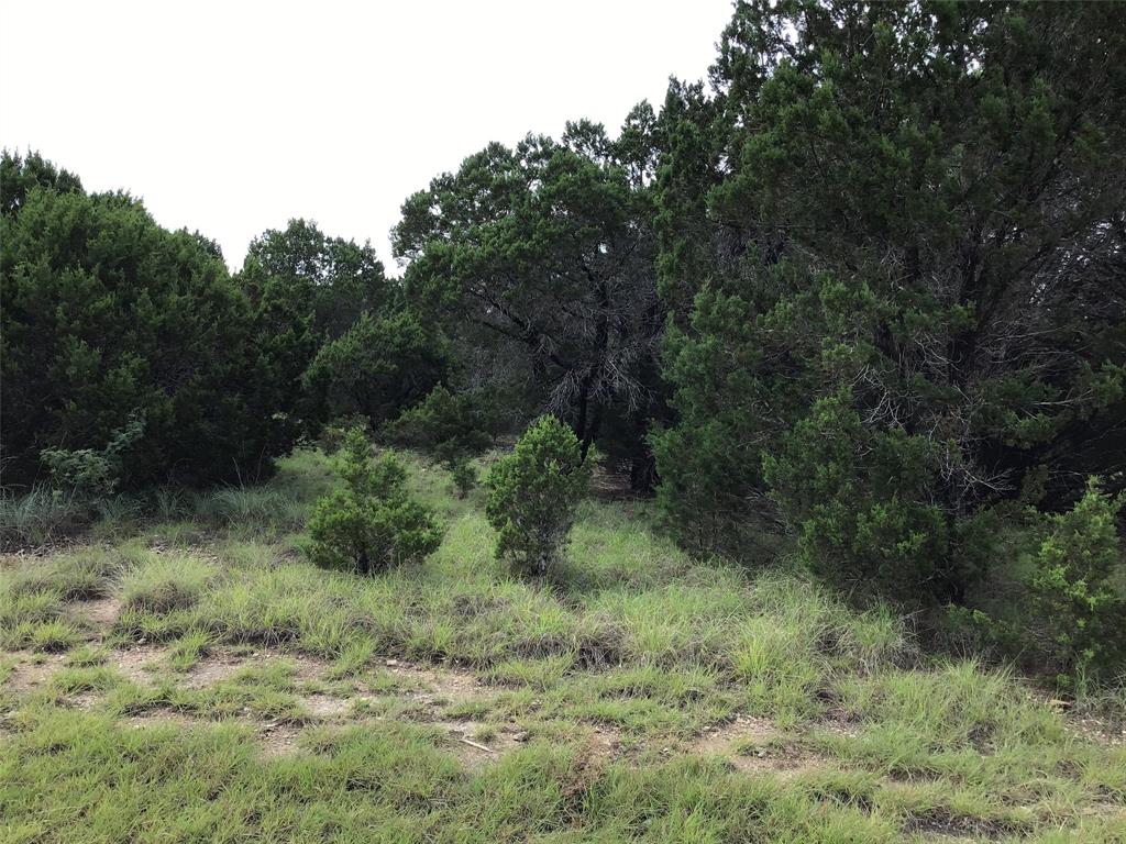 White Bluff #43 - Land