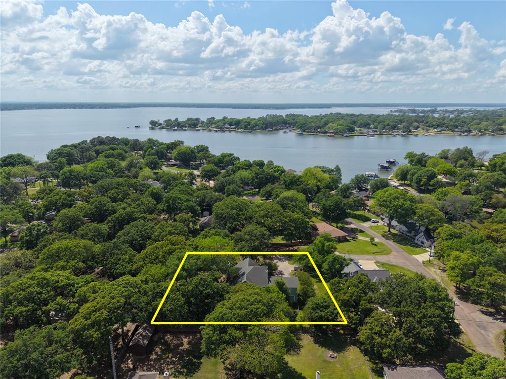 110 Buena Vista Street