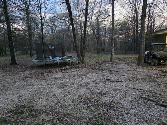 160 ZIGLER RD, AVERY, TX 75554 - Image cadee671a3b2d3960236d888f76f28d7/3910023901