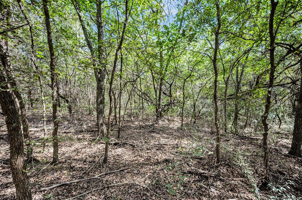 Crestview Estates #2 - Land