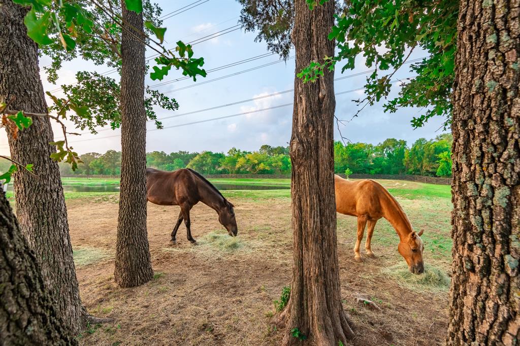 Canyon Ranch Estates - Residential