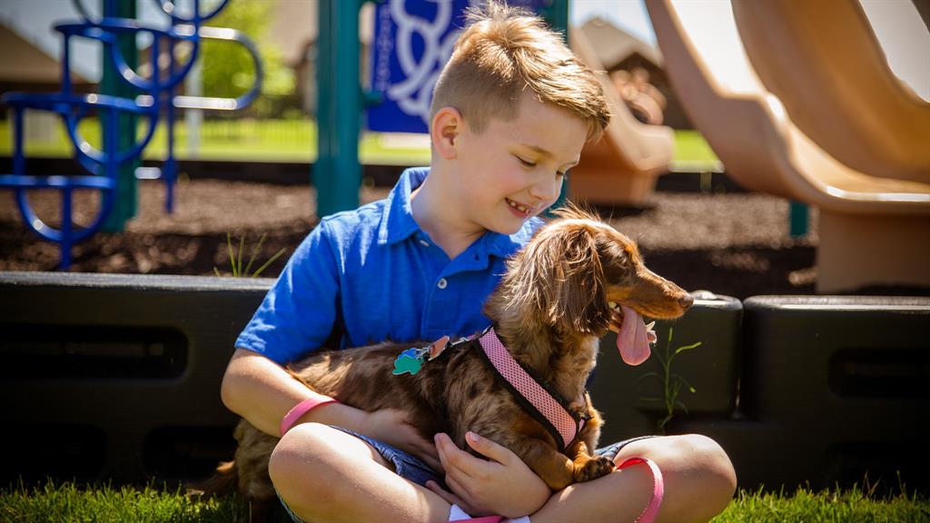 Sonoma Verde - Residential