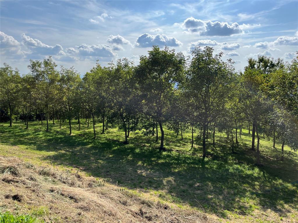 La Pavarana - Residential