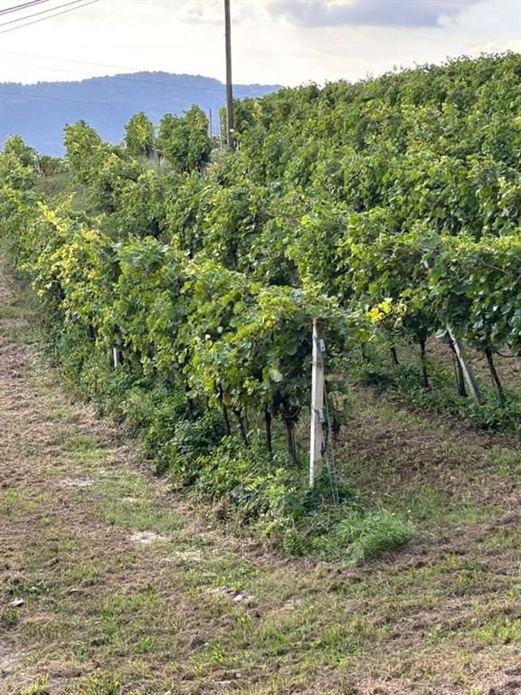 La Pavarana - Residential