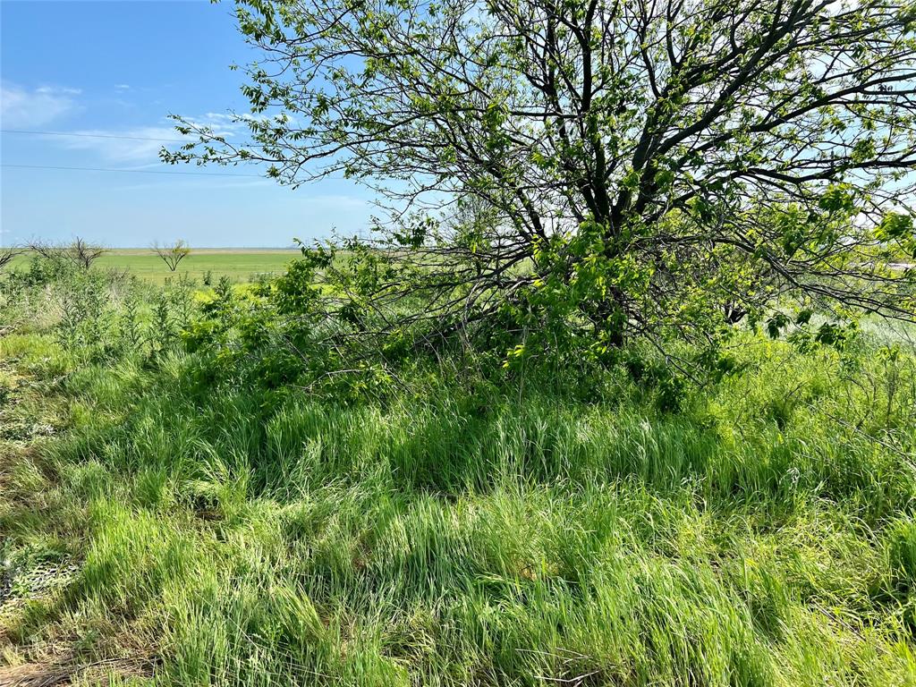 M ANTHONY - Residential