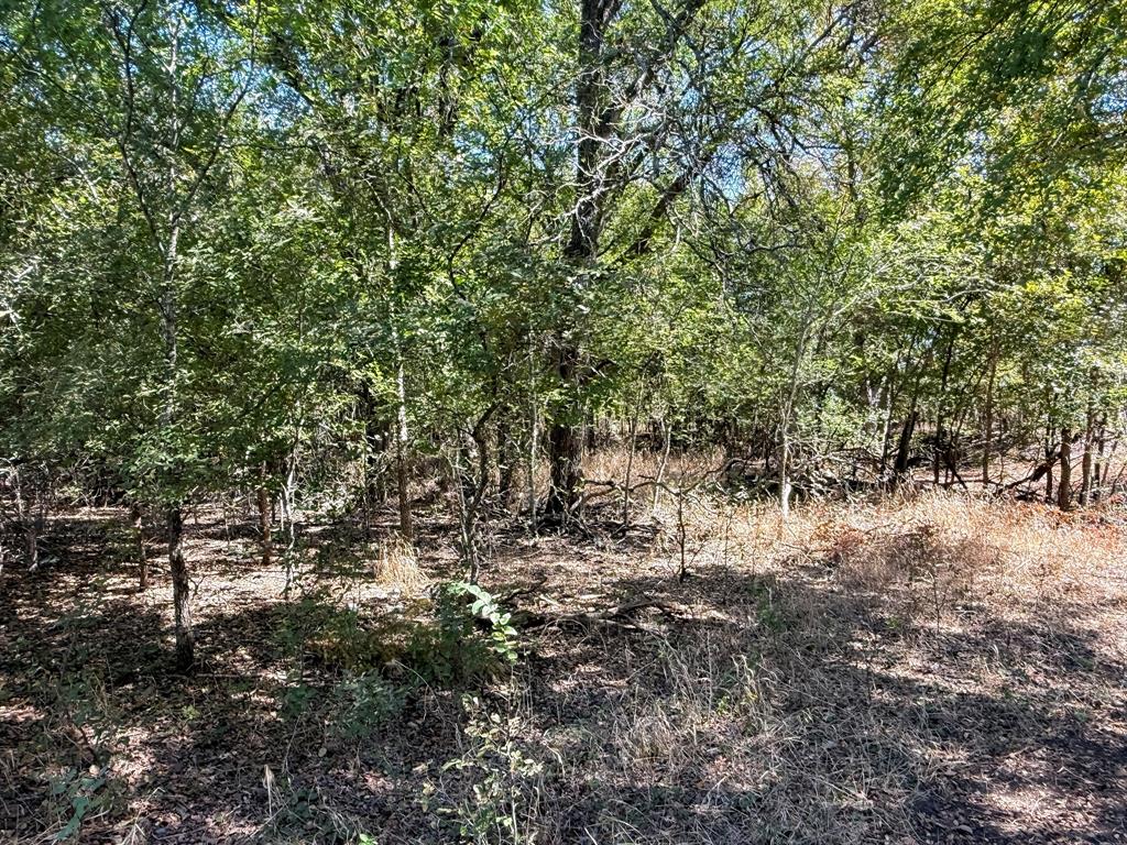 Nolan River Estates - Residential