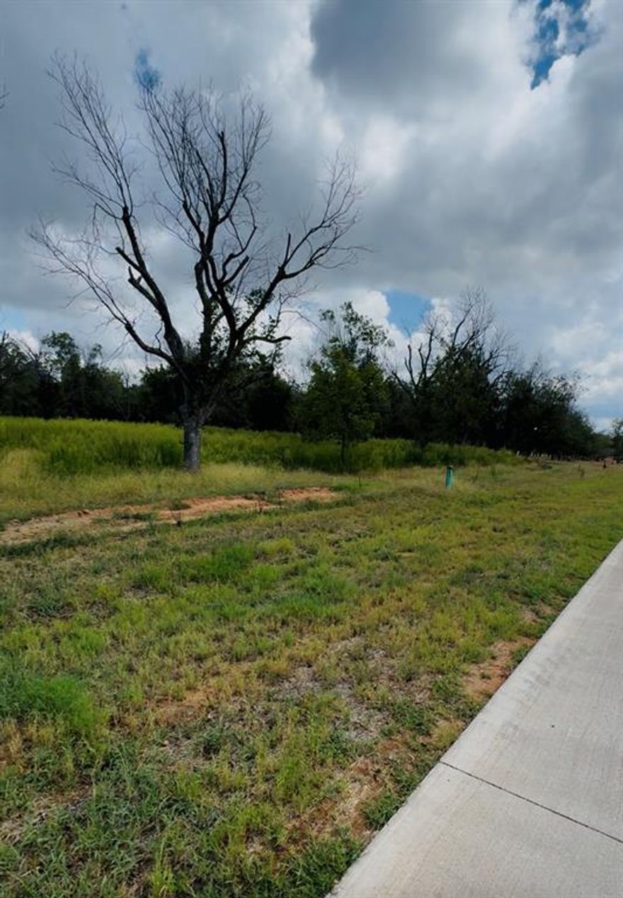 Rare 2.46-acre corner lot in the highly sought-after Pecan Plantation, The Landings East. Build your dream home with room for outdoor living, a pool, and a private hangar. Centrally located with taxiway access, perfect for aviation enthusiasts. Pecan Plantation is a premier gated, resort-style community featuring a country club, 2 golf courses, pools, tennis & pickleball courts, riverfront parks, marina on Lake Granbury, airpark access, dining, and an equestrian center. Financing options available—don’t miss this exceptional opportunity.