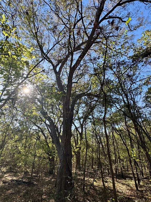 Susannah Walker Surv Abs 953 - Residential