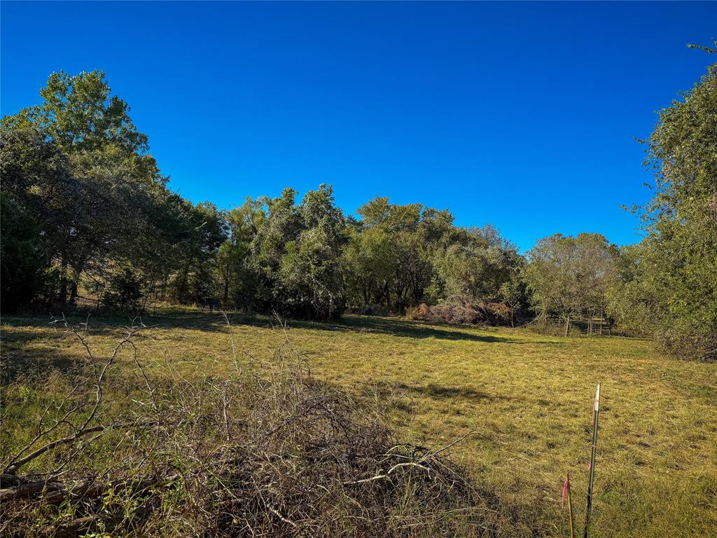 S Isaacs Surv Abs # 454 - Land