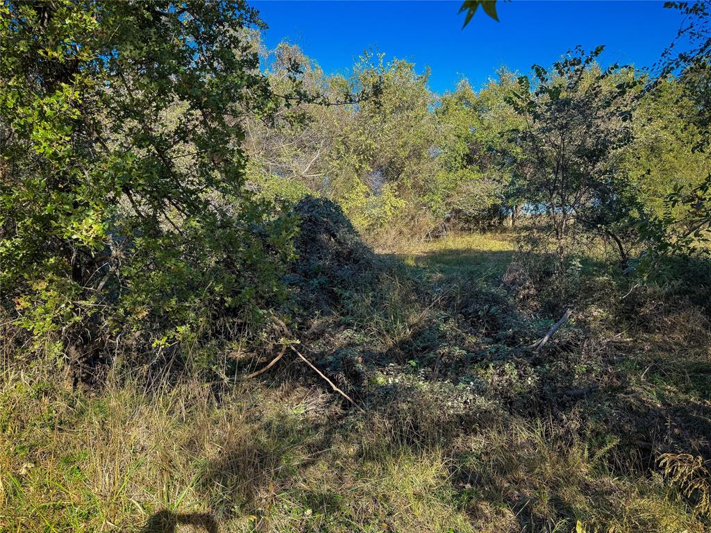 S Isaacs Surv Abs # 454 - Land