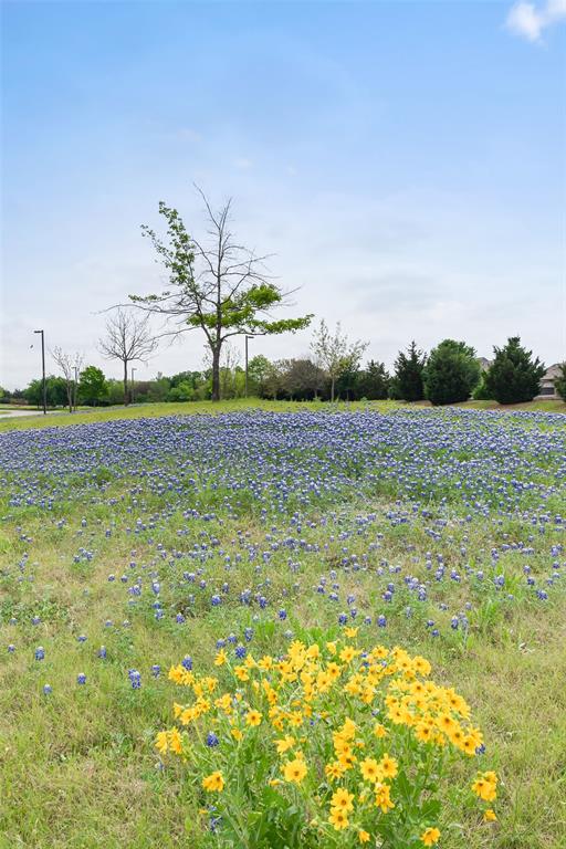 Connemara Crossing - Residential