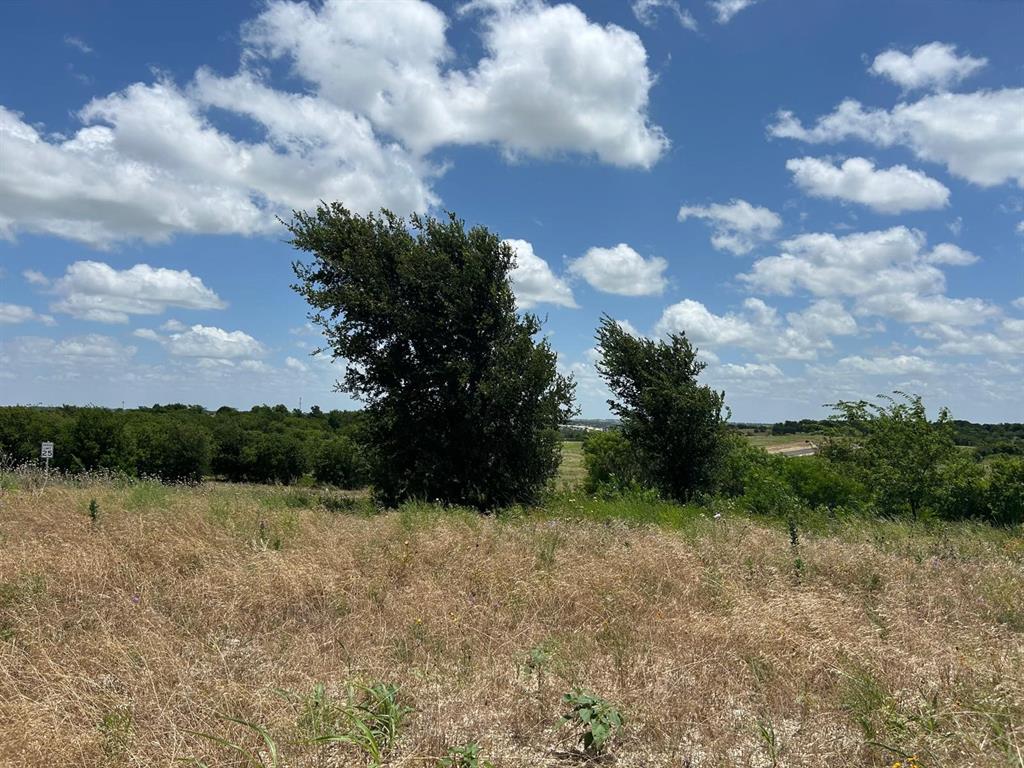 COUGAR MOUNTAIN - Land