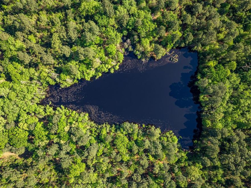 Lilly Creek Ranch offers 476 +- acres of prime northeast Texas timberland. This densely wooded ranch features soaring mature pines, native hardwoods, cleared trails, and over 6,200’ of county road frontage on two sides. A 2-3-acre lake sits in the heart of the property, and there is over one mile of frontage on both sides of Lilly Creek cutting through the southern portion of the ranch which holds water year-round. In addition to marketable timber and road frontage, Lilly Creek Ranch offers nearly unending opportunity for recreational enjoyment.